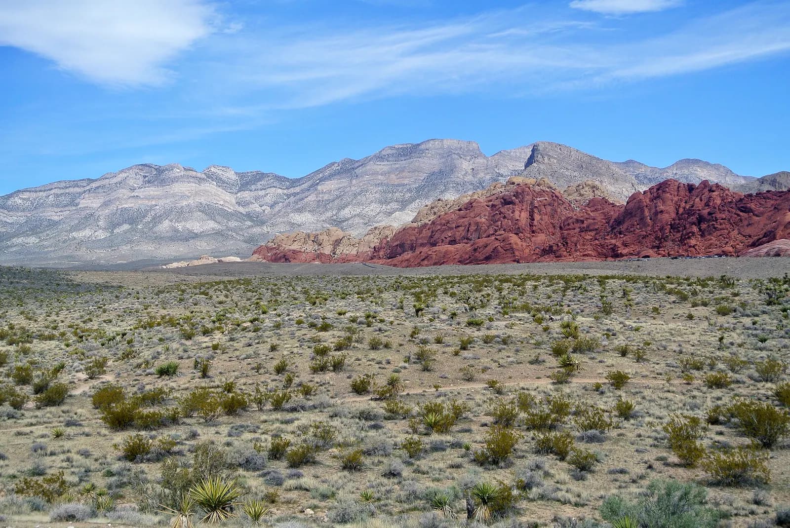 Red Rock Canyon National Conservation Area, Nevada